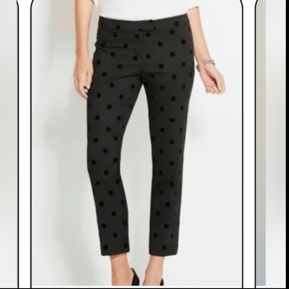 Vineyard Vines Wool Blend Black Polka Dot Pants